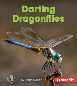 Book cover of Darting Dragonflies
