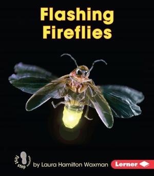 Cover of the book Flashing Fireflies by Richard Sebra