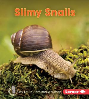 Cover of the book Slimy Snails by Mark Stewart, Mike Kennedy
