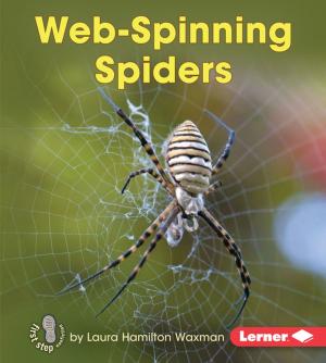 Cover of the book Web-Spinning Spiders by Cliff McNish