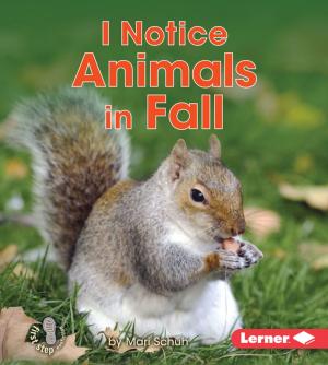 Cover of the book I Notice Animals in Fall by Rebecca Felix