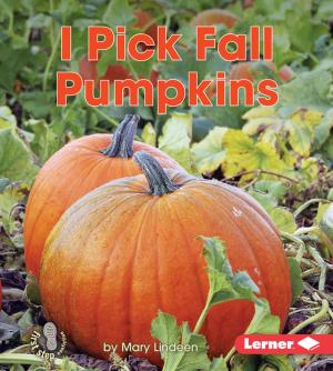 Cover of the book I Pick Fall Pumpkins by Sylvia A. Rouss