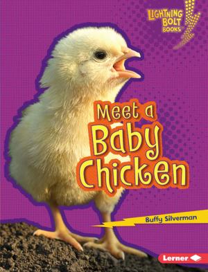Cover of the book Meet a Baby Chicken by Matt Doeden