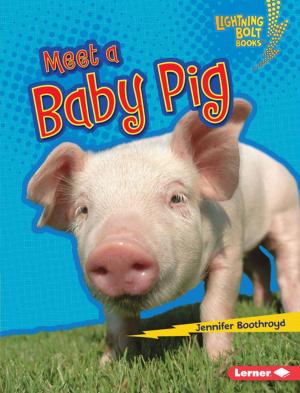 Cover of the book Meet a Baby Pig by Kristin Sterling