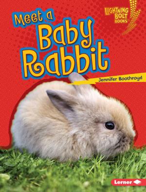 Cover of the book Meet a Baby Rabbit by Sara E. Hoffmann