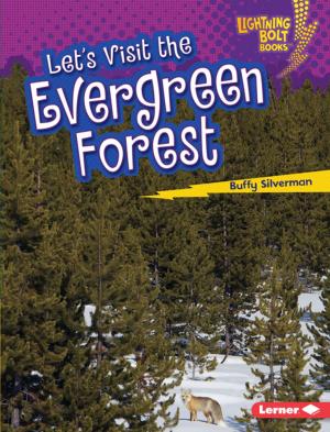 Cover of the book Let's Visit the Evergreen Forest by Jonny Zucker