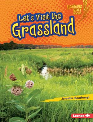 Cover of the book Let's Visit the Grassland by Trisha Speed Shaskan