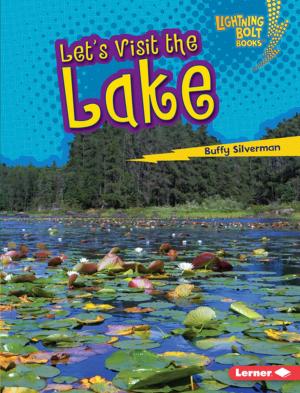 Cover of the book Let's Visit the Lake by Jon M. Fishman