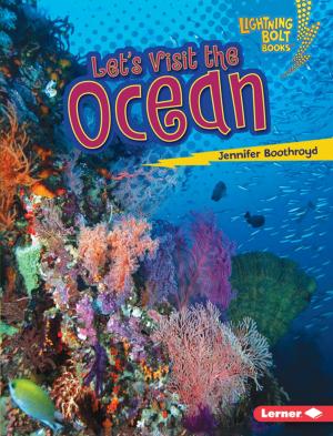 bigCover of the book Let's Visit the Ocean by 