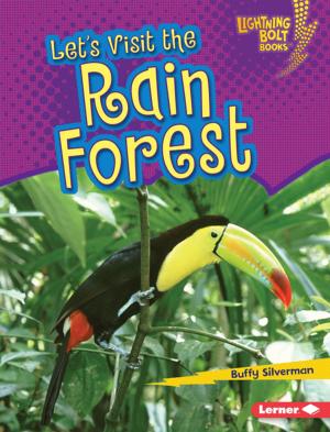 Cover of the book Let's Visit the Rain Forest by R. T. Martin