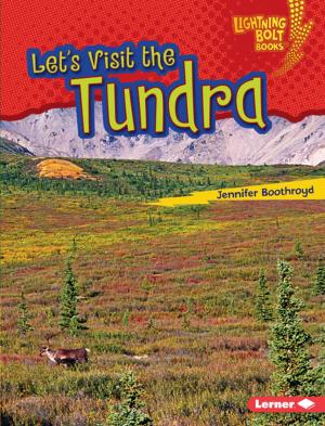 Cover of the book Let's Visit the Tundra by Madeline Donaldson