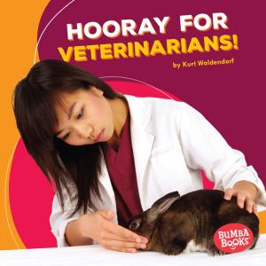 Cover of the book Hooray for Veterinarians! by Lisa J. Amstutz