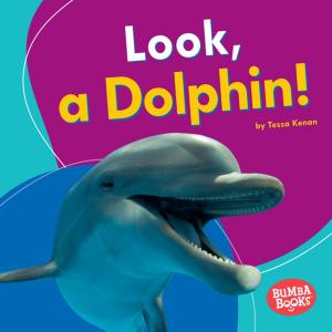 Cover of the book Look, a Dolphin! by Brian P. Cleary