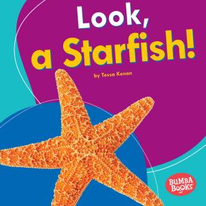 Cover of the book Look, a Starfish! by Patrick Jones