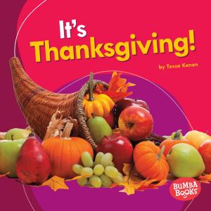 bigCover of the book It's Thanksgiving! by 