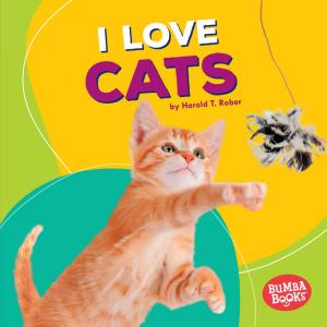 Cover of the book I Love Cats by Israel Keats