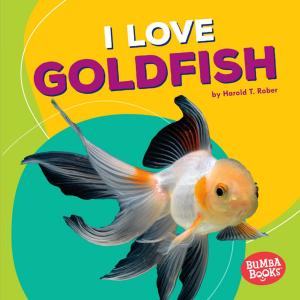Cover of the book I Love Goldfish by Jon M. Fishman