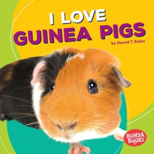 Cover of the book I Love Guinea Pigs by Jon M. Fishman