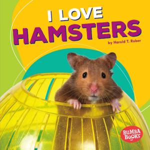 Cover of the book I Love Hamsters by Patrick Jones