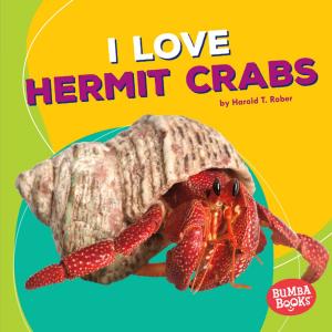 Cover of the book I Love Hermit Crabs by Sara E. Hoffmann