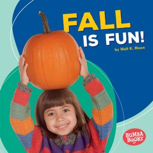 Cover of the book Fall Is Fun! by Lisa Wheeler