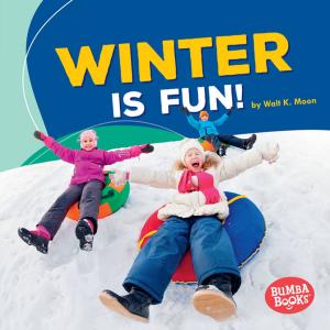 Cover of the book Winter Is Fun! by Brian P. Cleary