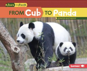 bigCover of the book From Cub to Panda by 
