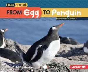 Cover of the book From Egg to Penguin by Robin Nelson
