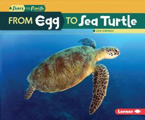 Cover of the book From Egg to Sea Turtle by Brian P. Cleary