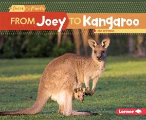Cover of the book From Joey to Kangaroo by Jennifer Boothroyd