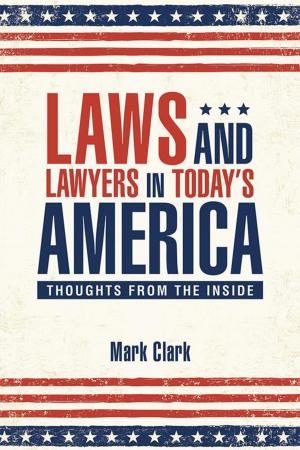 Cover of the book Laws and Lawyers in Today’S America by Pastor Otis F. Brown Jr.
