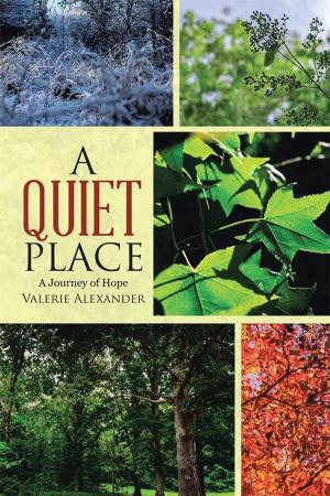 Cover of the book A Quiet Place by Carmen DiNino Alspach, Larry E. Simons