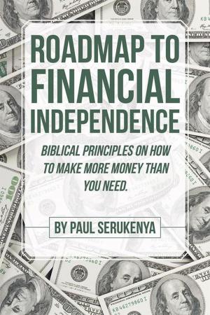 Cover of the book Roadmap to Financial Independence by Robert Davis Smart