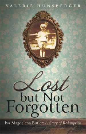 Book cover of Lost but Not Forgotten