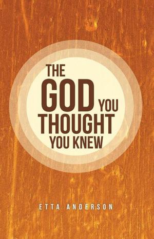 Cover of the book The God You Thought You Knew by Ronald, Christinal Pillai