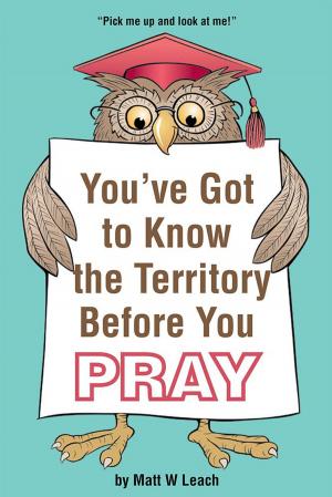 Cover of the book You've Got to Know the Territory Before You Pray by Rick Rannie