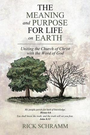 Cover of the book The Meaning and Purpose for Life on Earth by David W. Samuelson M.D.