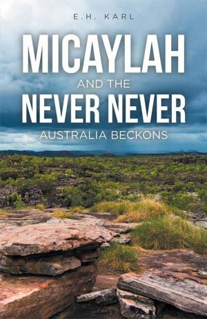 Cover of the book Micaylah and the Never Never by Robyn Sturgeon