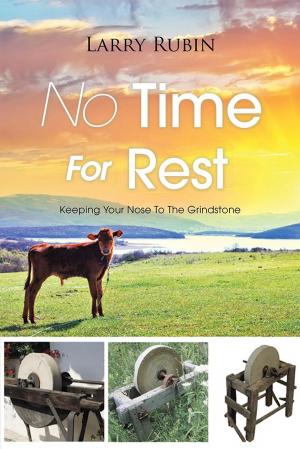 Cover of the book No Time for Rest by Dave Stone