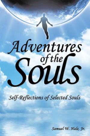 bigCover of the book Adventures of the Souls by 