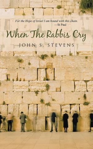 Cover of the book When the Rabbis Cry by JONATHAN MONTANEZ