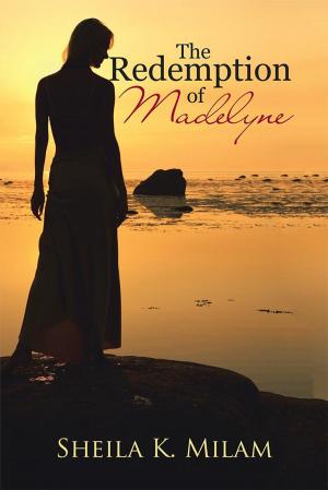 Cover of the book The Redemption of Madelyne by Chris Thomas
