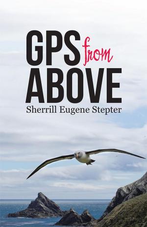 Cover of the book Gps from Above by Jean Hoefling