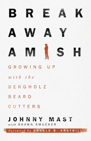 Cover of the book Breakaway Amish by Mary Beth Lind, Cathleen Hockman-Wert