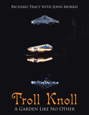 Cover of the book Troll Knoll by Kimberly A Bettes