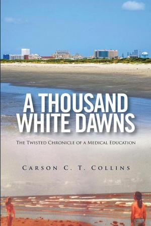 Cover of the book A Thousand White Dawns by Gabriel Santiago