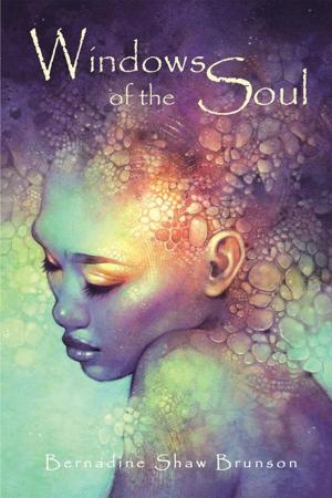 Cover of the book Windows of the Soul by Connie G. Serrania, Damaris Serrania Barco
