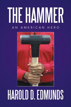 Cover of the book The Hammer: an American Hero by Rachel Cohen-Rottenberg