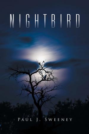 Cover of the book Nightbird by Ris Hotchin