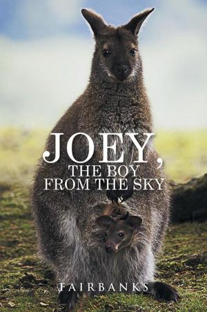 Cover of the book Joey, the Boy from the Sky by Earle de Motte